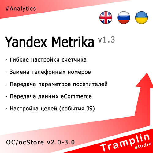 Подробнее о "TS Yandex Metrika 1.3"